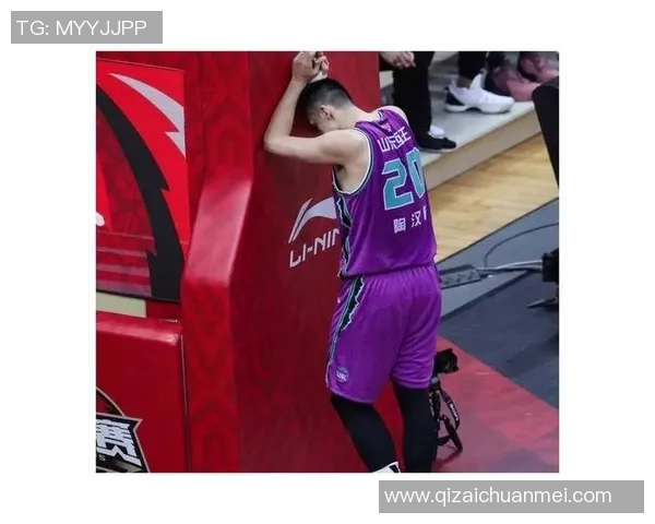 陶汉林：从篮球场上的拼搏者到社会公益的践行者的蜕变之路