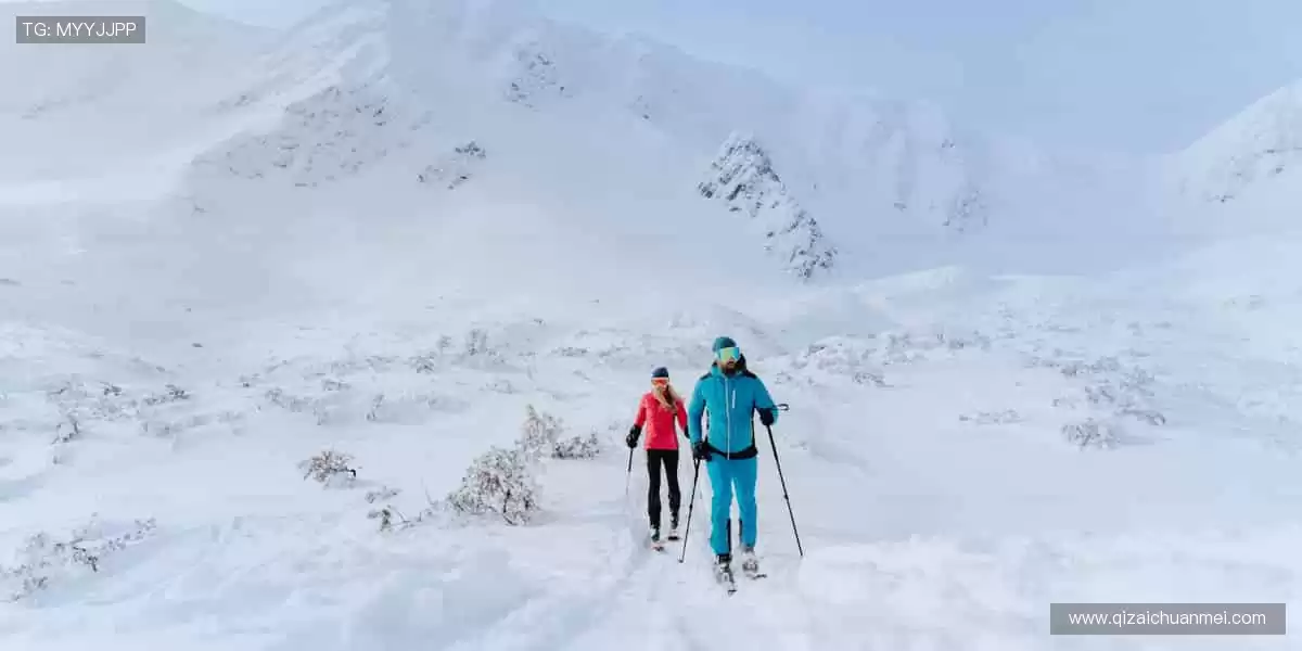 🎮 互动直播，弹幕狂欢，和百万球迷一起嗨翻全场！